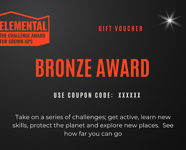 bronze award